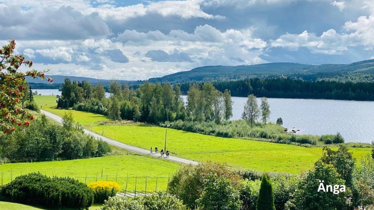 Nyrenoverat Boende I Vackra Järvsö Екстериор снимка